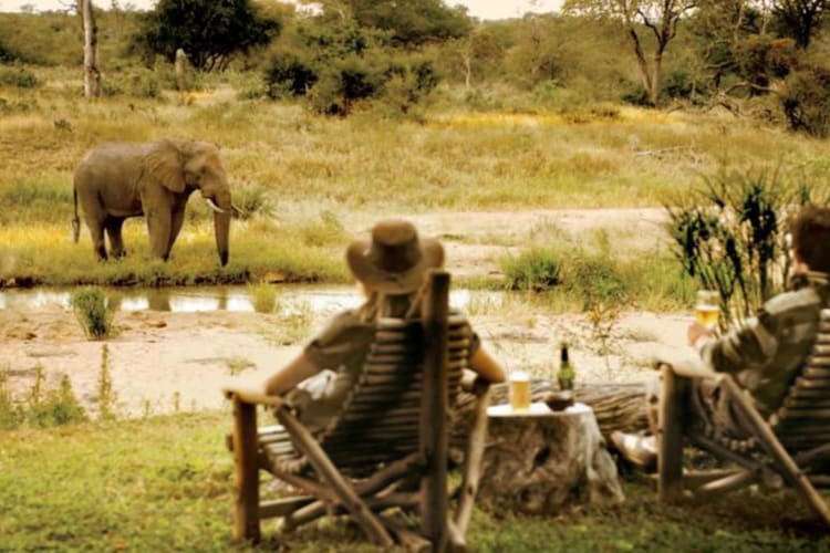 Bush dining